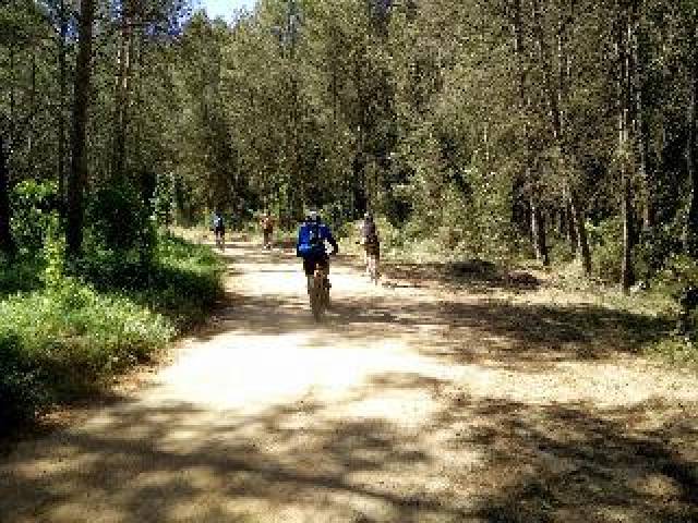 Desportos y Entretenimento