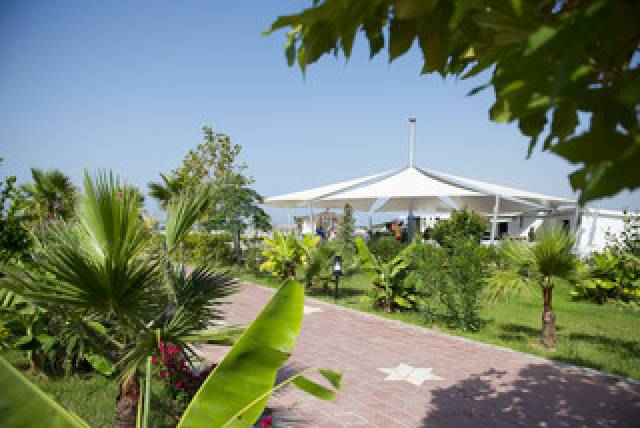 Terraço