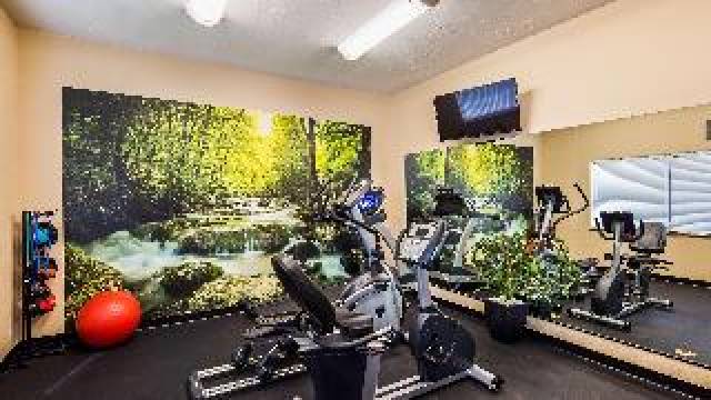 Desportos y Entretenimento