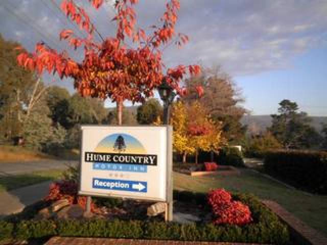 Vista General