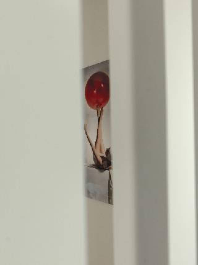 Desportos y Entretenimento