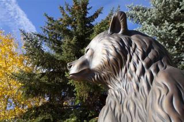 Vista General