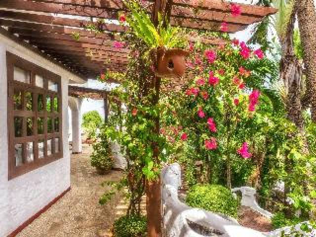 Terraço