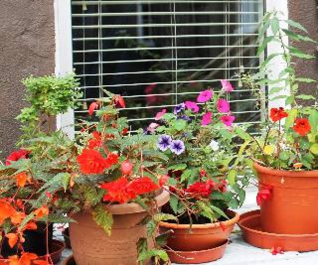 Terraço