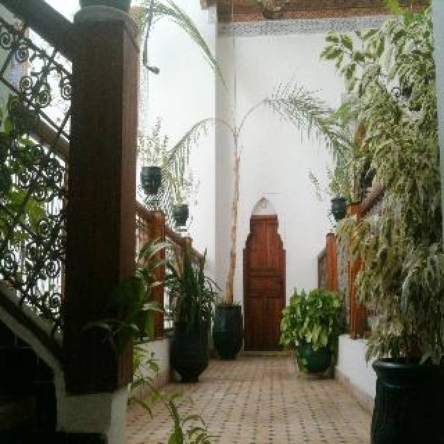 Terraço