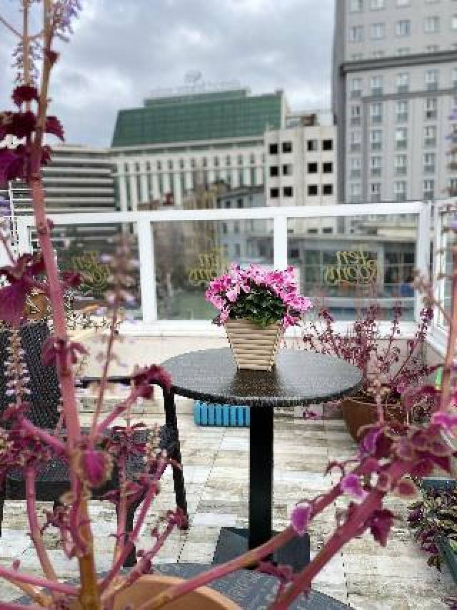 Terraço