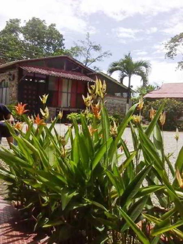 Vista General