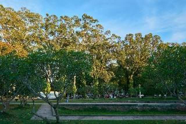 Vista General