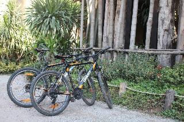 Desportos y Entretenimento