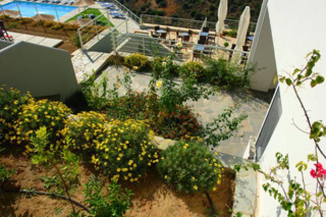 Vista General
