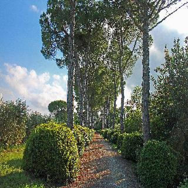 Vista General