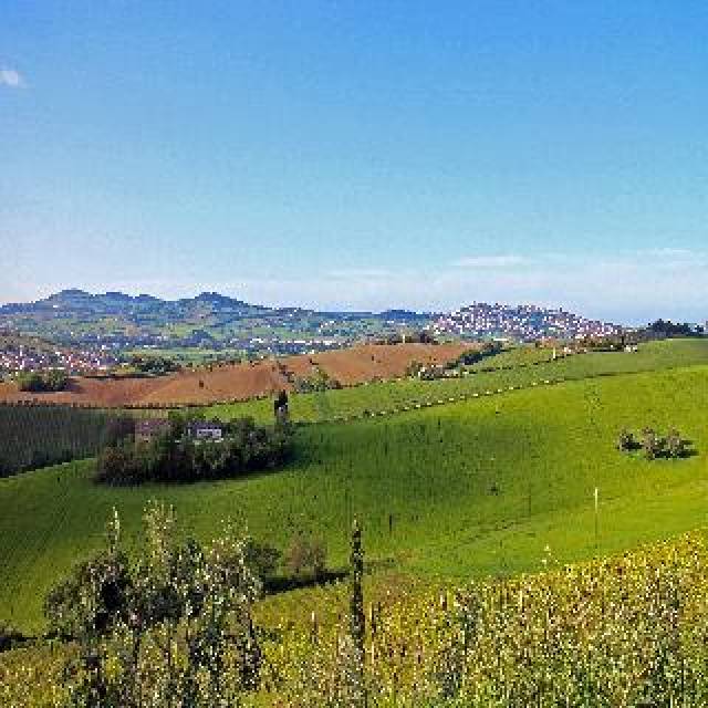 Vista General