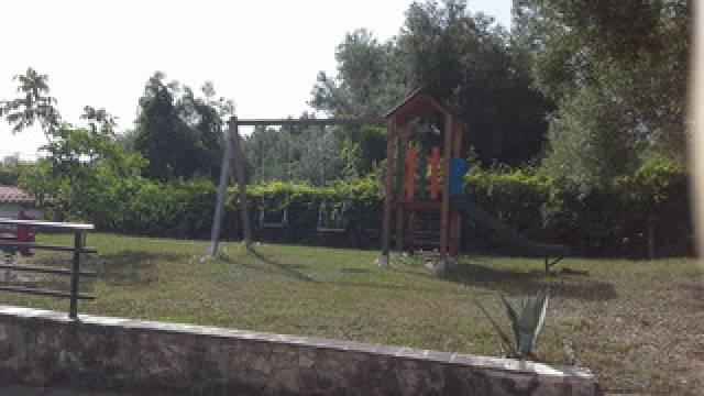 Desportos y Entretenimento