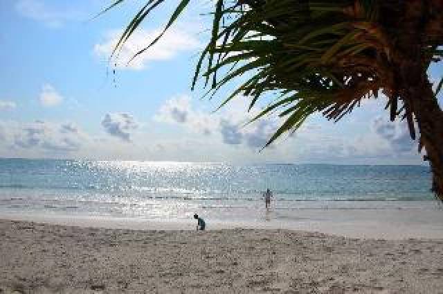 Praia