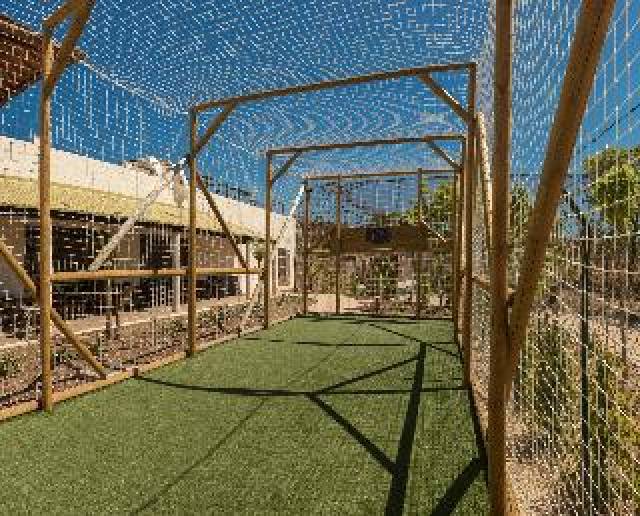 Desportos y Entretenimento