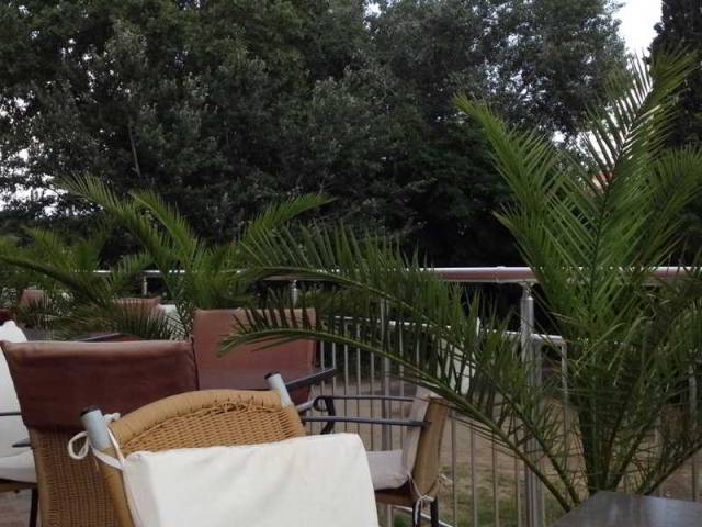 Terraço