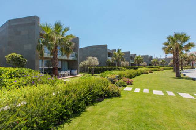 Vista General