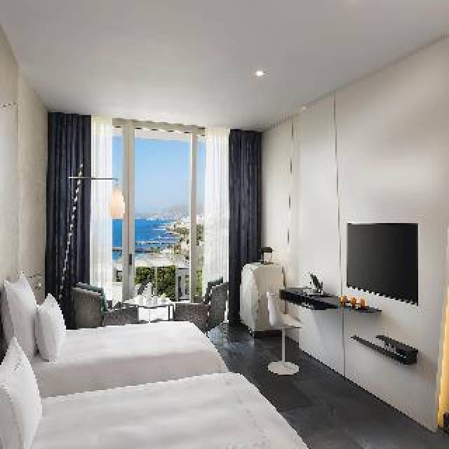 Quarto