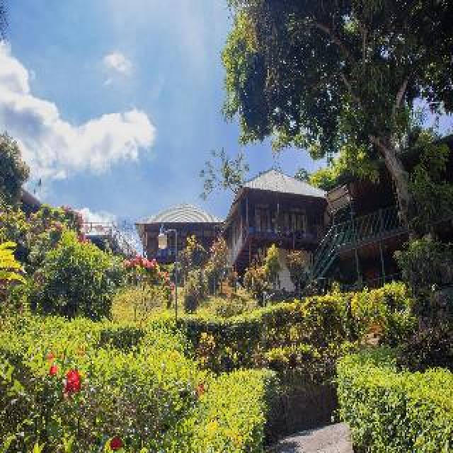 Vista General