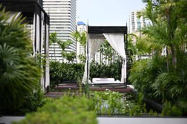 Terraço