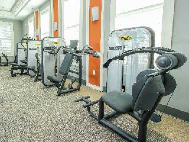 Desportos y Entretenimento
