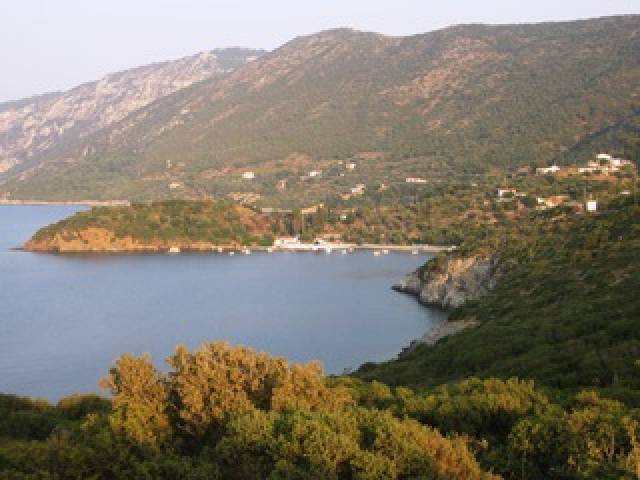 Vista General