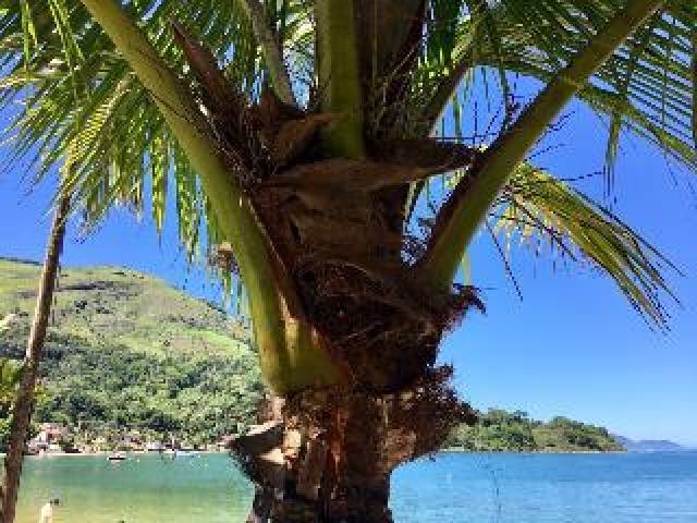 Praia