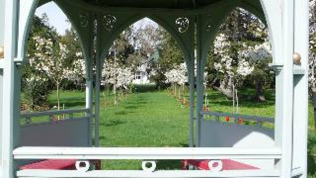 Vista General