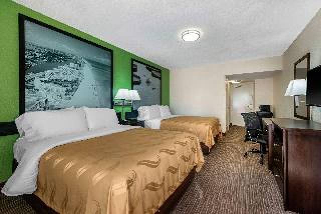 Quarto