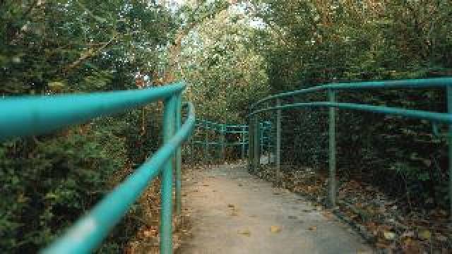 Desportos y Entretenimento