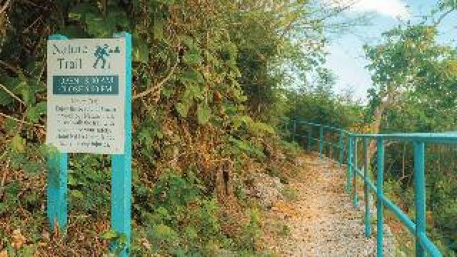 Desportos y Entretenimento