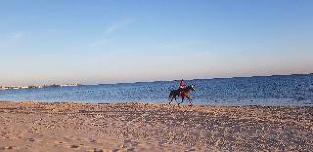 Praia