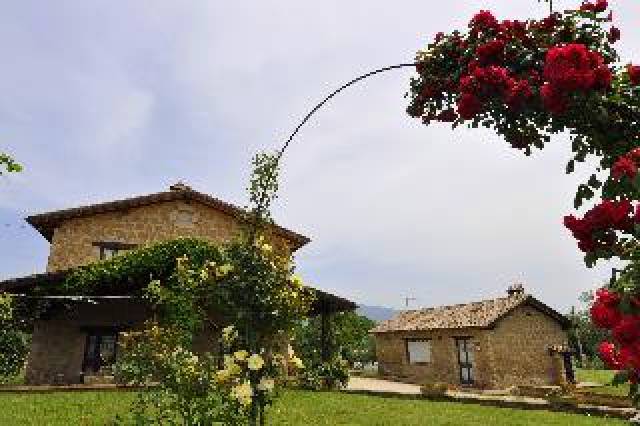 Vista General
