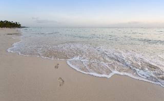 Praia