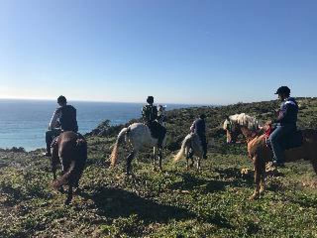 Desportos y Entretenimento