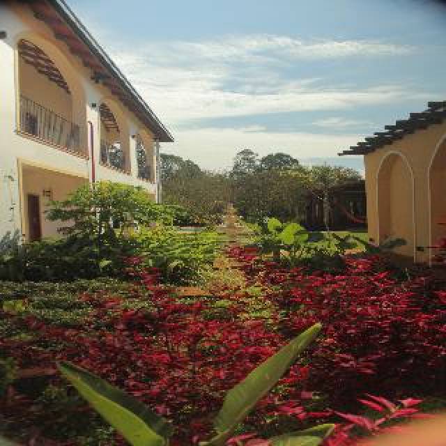 Vista General