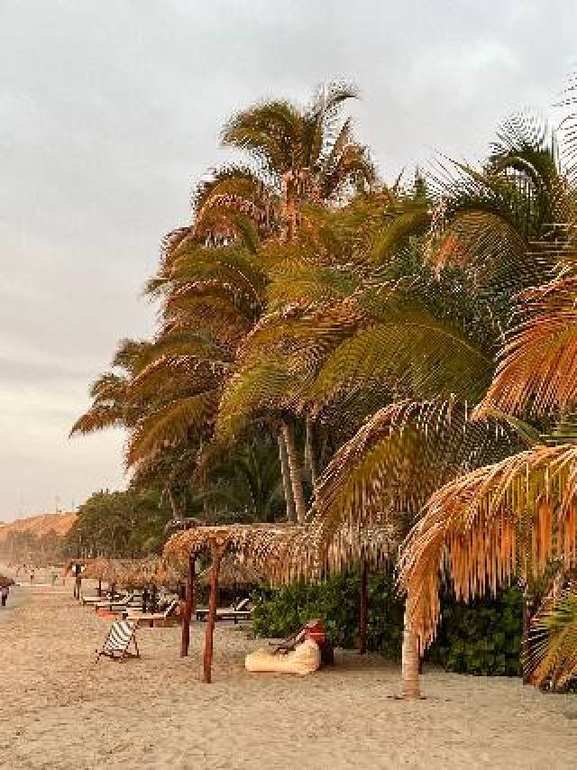 Praia