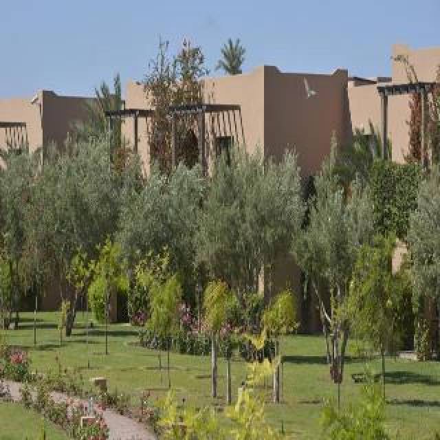 Vista General