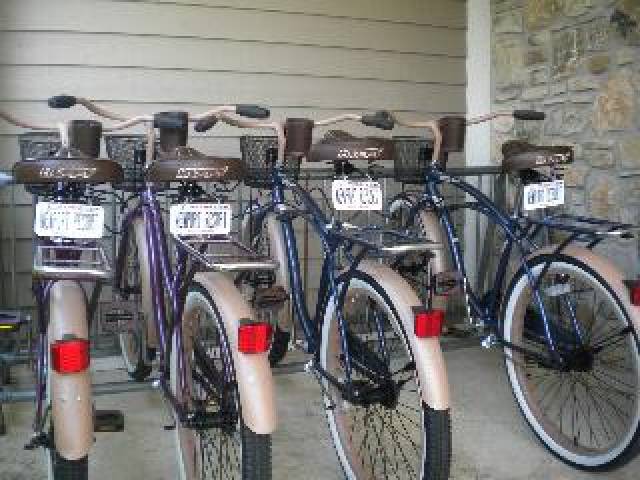 Desportos y Entretenimento
