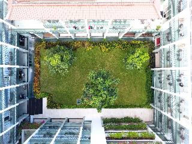 Terraço
