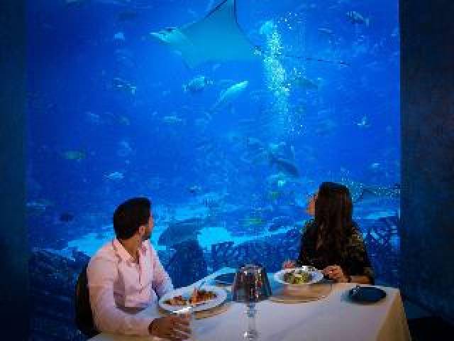 Desportos y Entretenimento