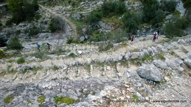 Desportos y Entretenimento