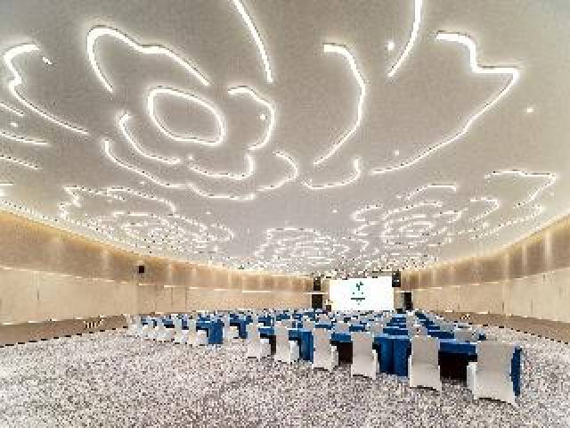 Conferencias