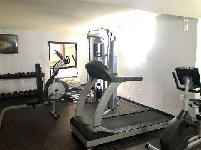Desportos y Entretenimento