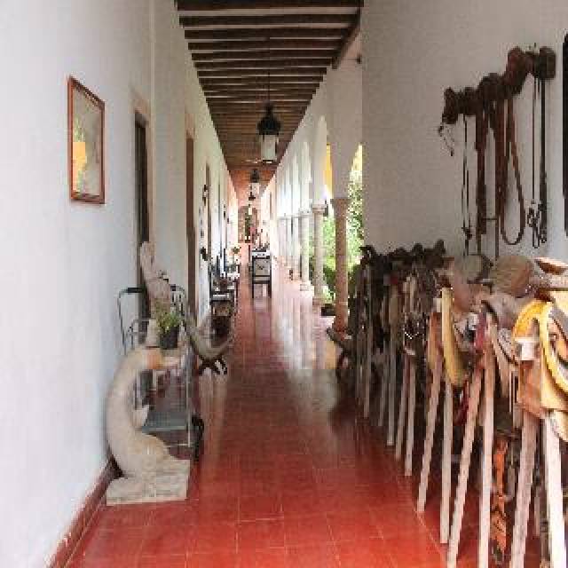 Desportos y Entretenimento