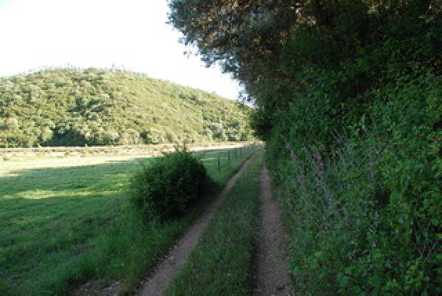 Vista General