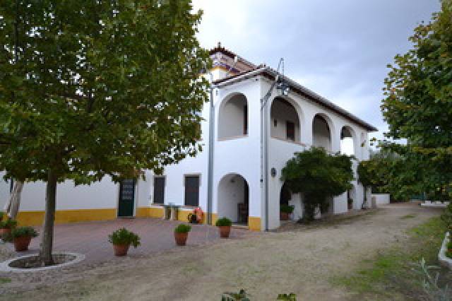 Vista General