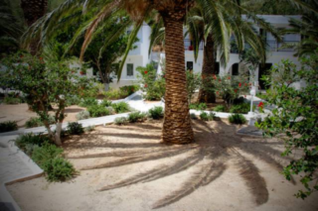 Vista General