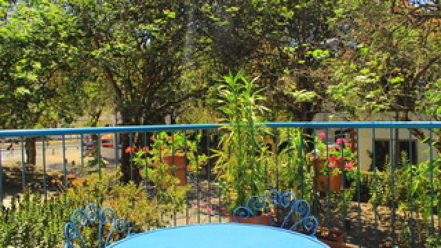 Terraço