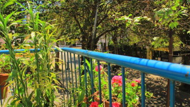 Terraço